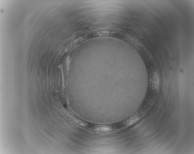 X0000055520610200508262207