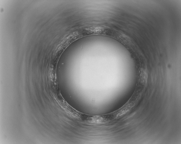 X0000055520612200508262207