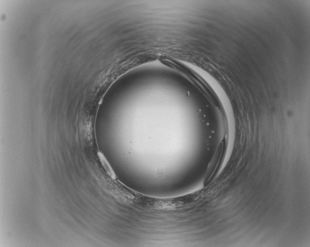 X0000055520613200508262207