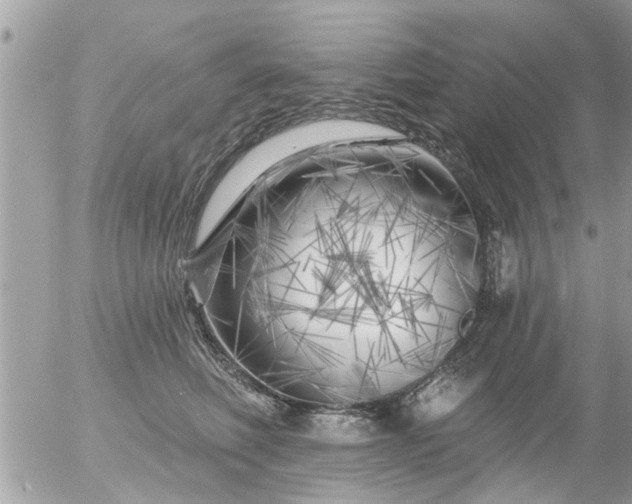 X0000055520614200508262207