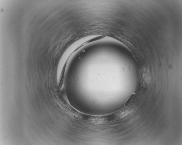 X0000055520615200508262207