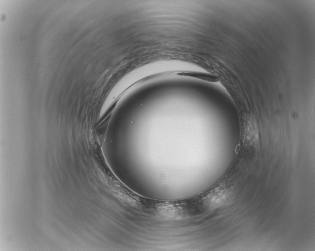 X0000055520616200508262207