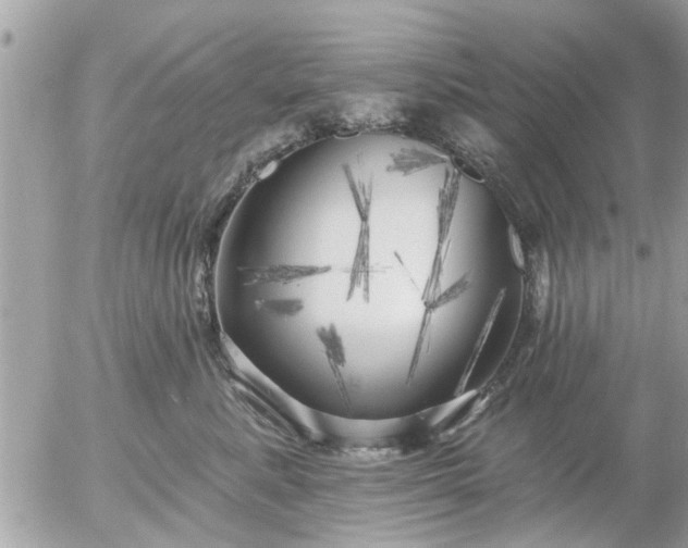 X0000055520619200508262207