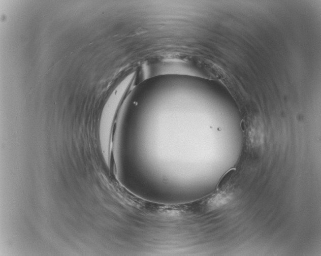 X0000055520620200508262207