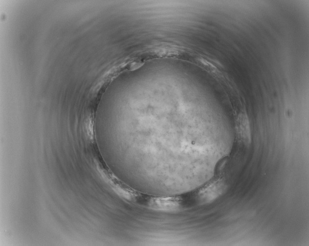 X0000055520622200508262207