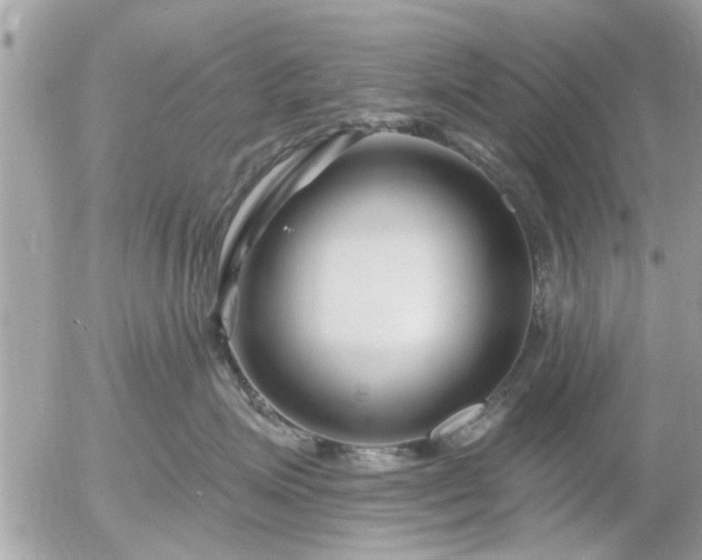 X0000055520623200508262207