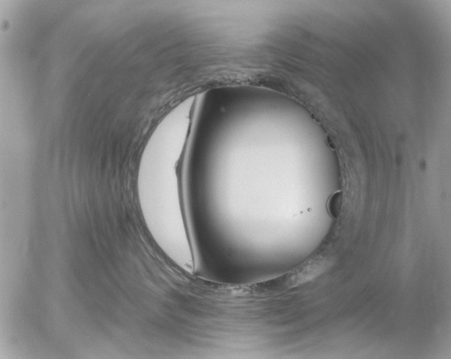 X0000055520624200508262207