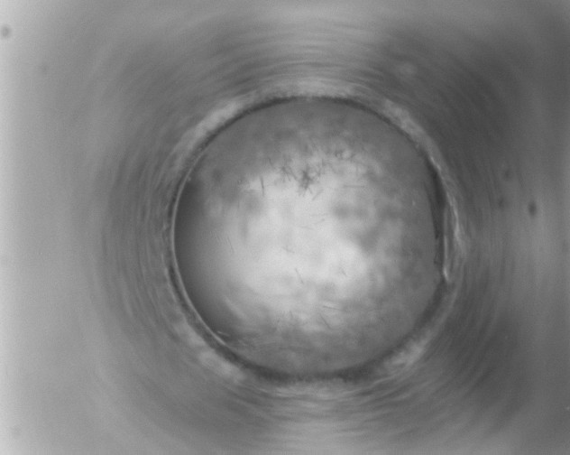 X0000055520625200508262206