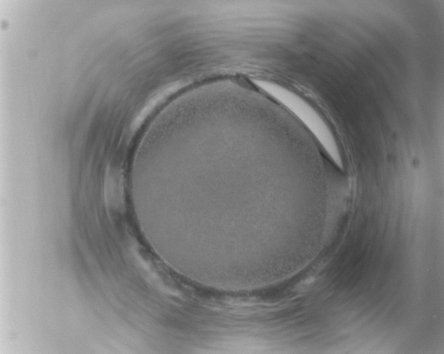 X0000055520626200508262206