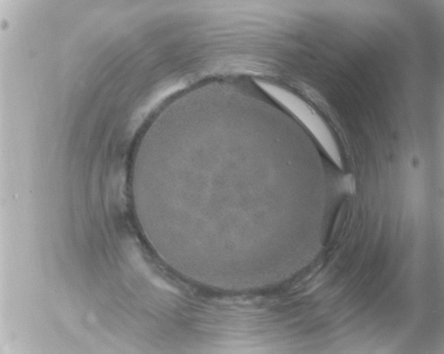 X0000055520627200508262206