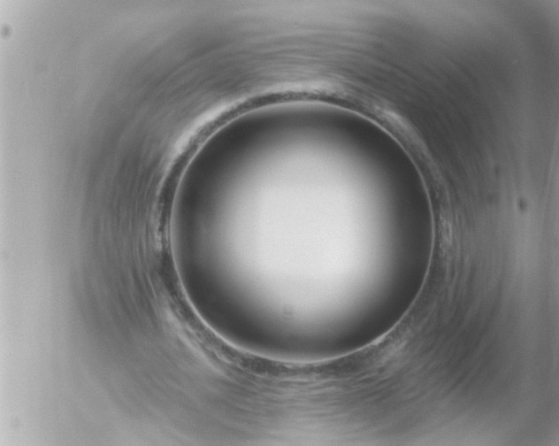 X0000055520628200508262206