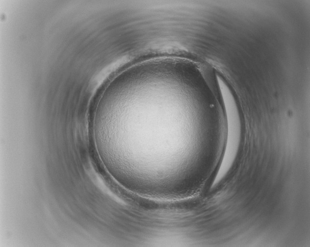 X0000055520630200508262206