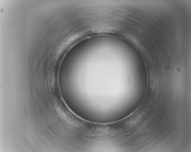 X0000055520631200508262206