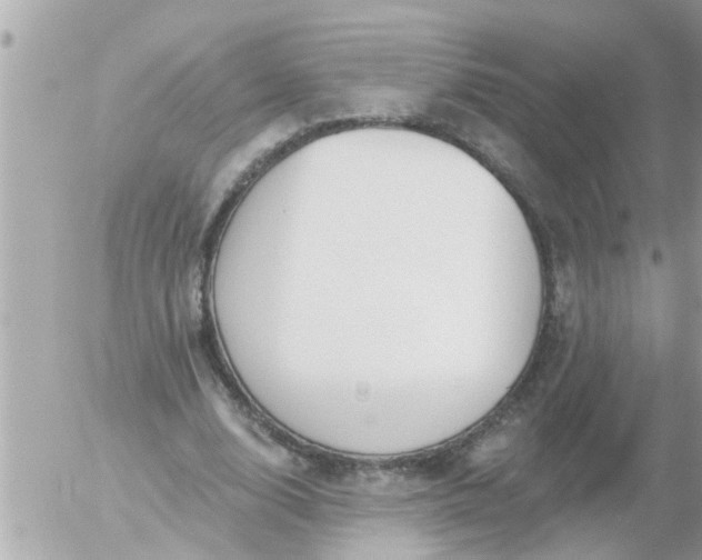 X0000055520632200508262206