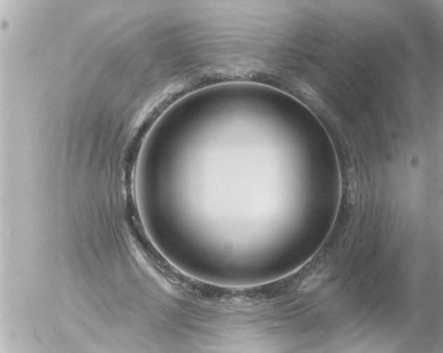 X0000055520634200508262206