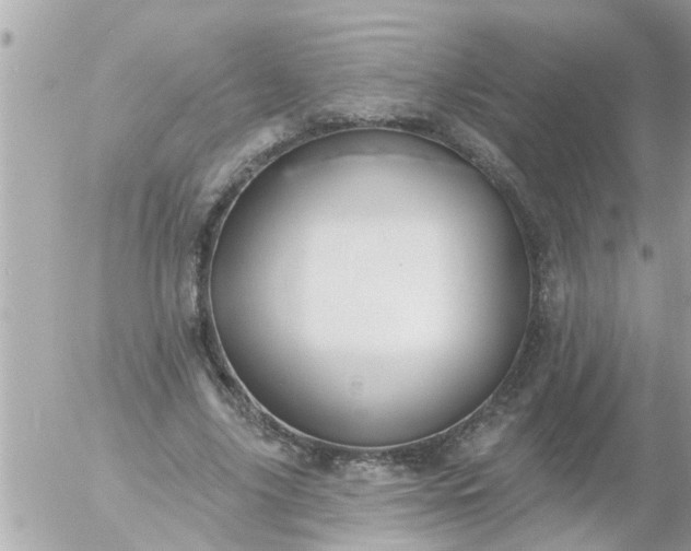 X0000055520635200508262206