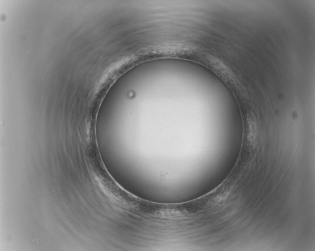 X0000055520636200508262206