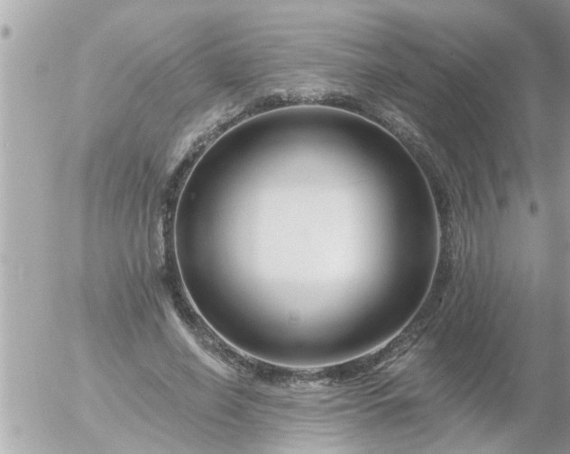 X0000055520638200508262206