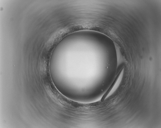 X0000055520639200508262206