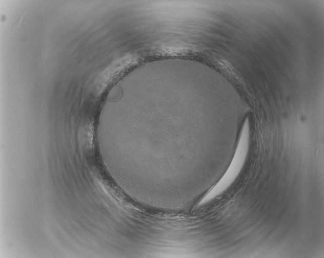 X0000055520640200508262206