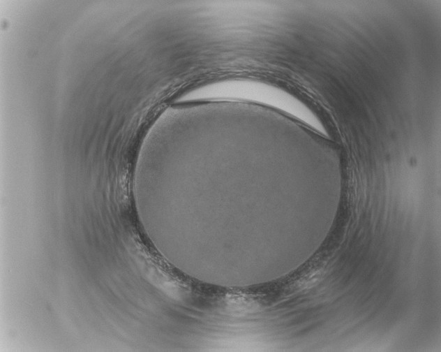 X0000055520641200508262206