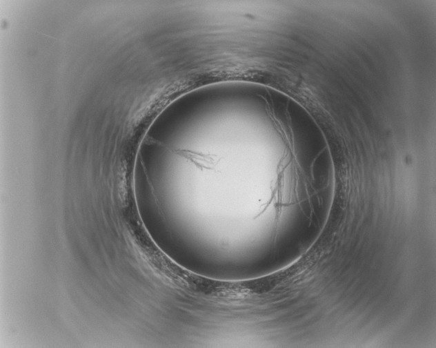 X0000055520642200508262206