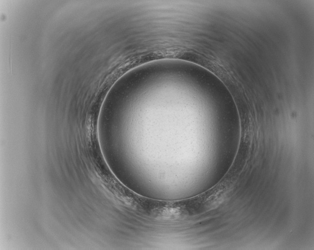 X0000055520647200508262206