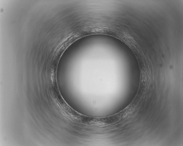 X0000055520648200508262206