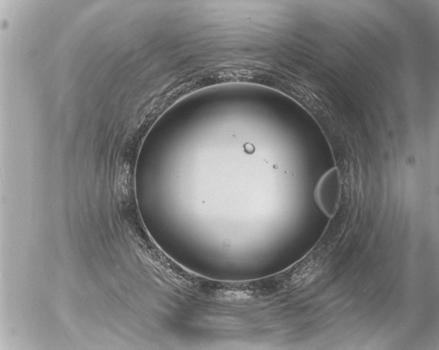 X0000055520649200508262207