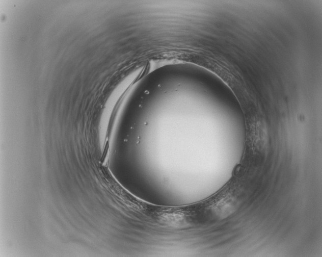 X0000055520653200508262207