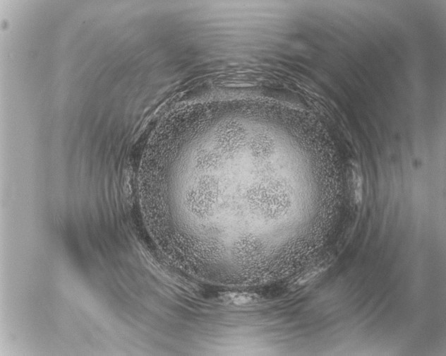 X0000055520654200508262207