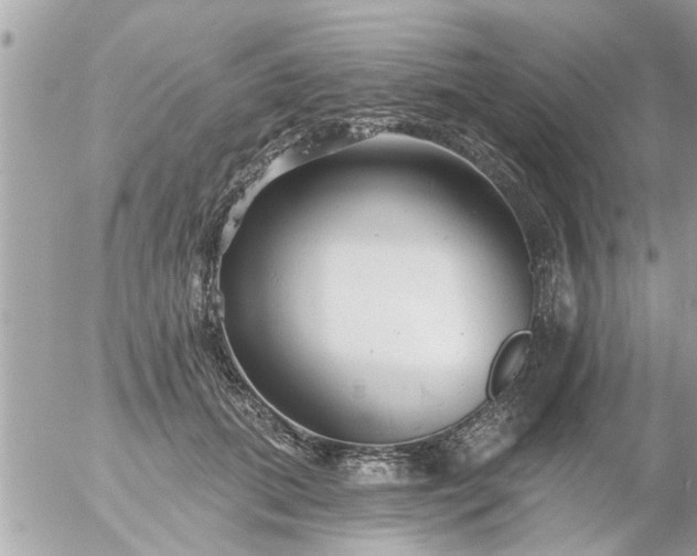 X0000055520655200508262207