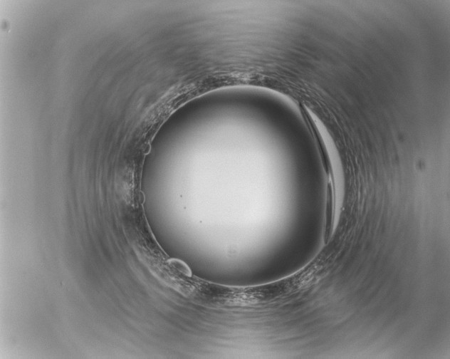 X0000055520656200508262207