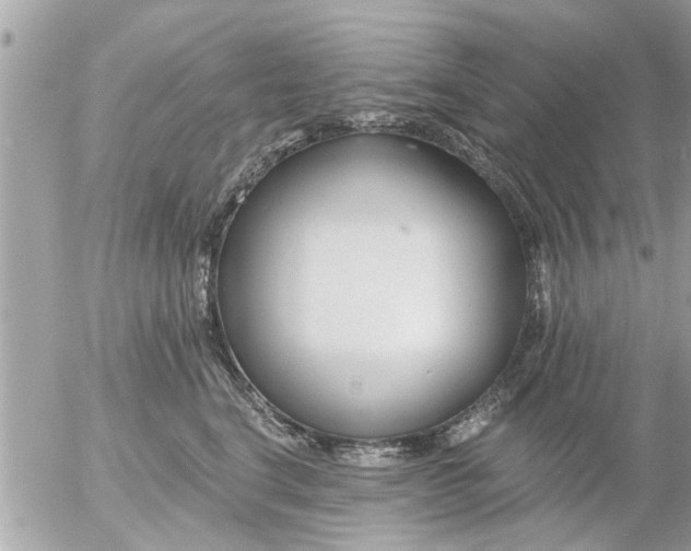 X0000055520664200508262207