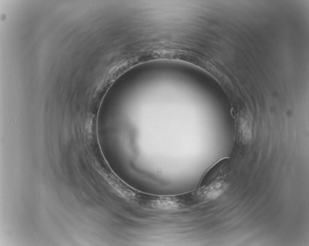 X0000055520668200508262207