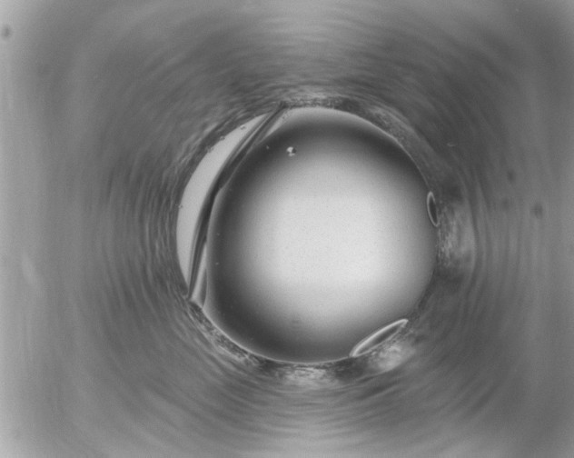 X0000055520669200508262207