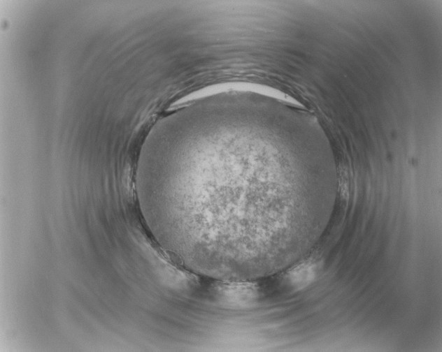 X0000055520670200508262207