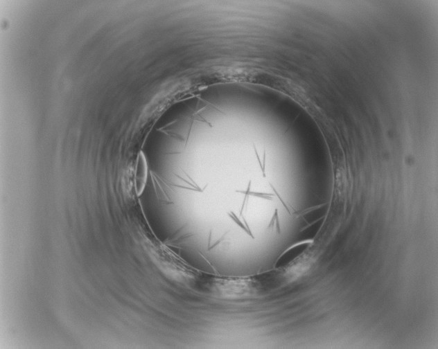 X0000055520671200508262207