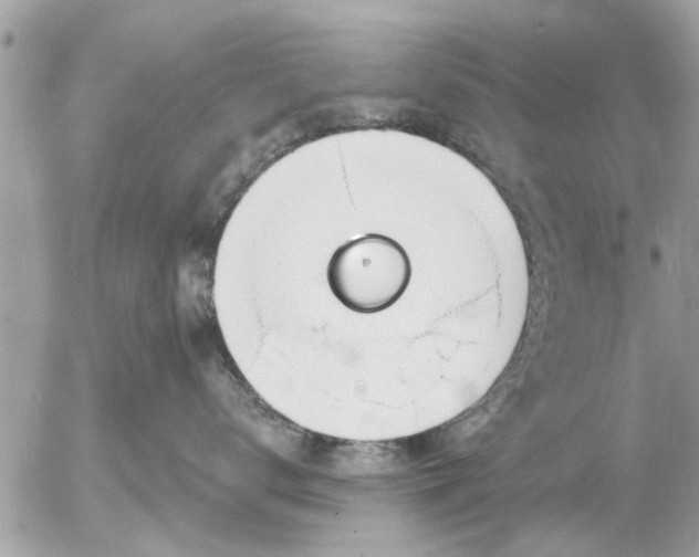 X0000055520672200508262207