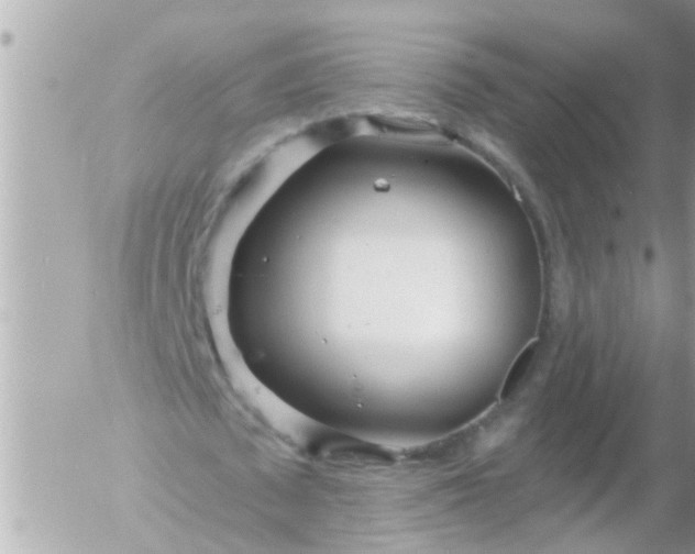 X0000055520673200508262206