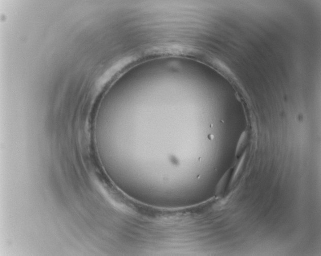 X0000055520674200508262206