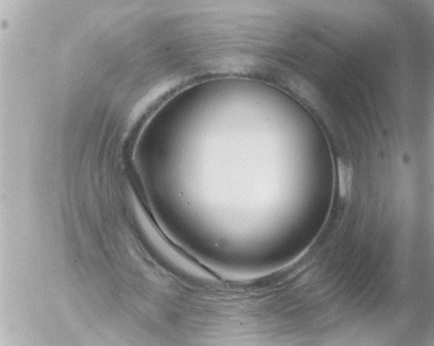 X0000055520675200508262206