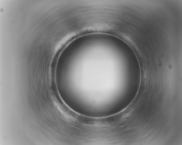 X0000055520678200508262206