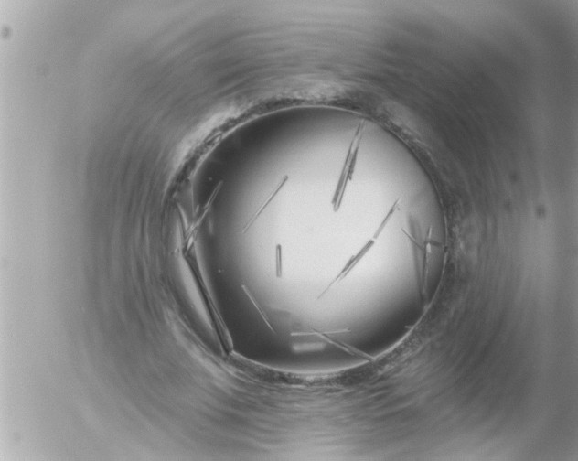 X0000055520679200508262206