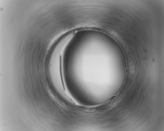 X0000055520680200508262206