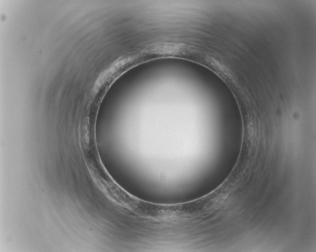 X0000055520682200508262206