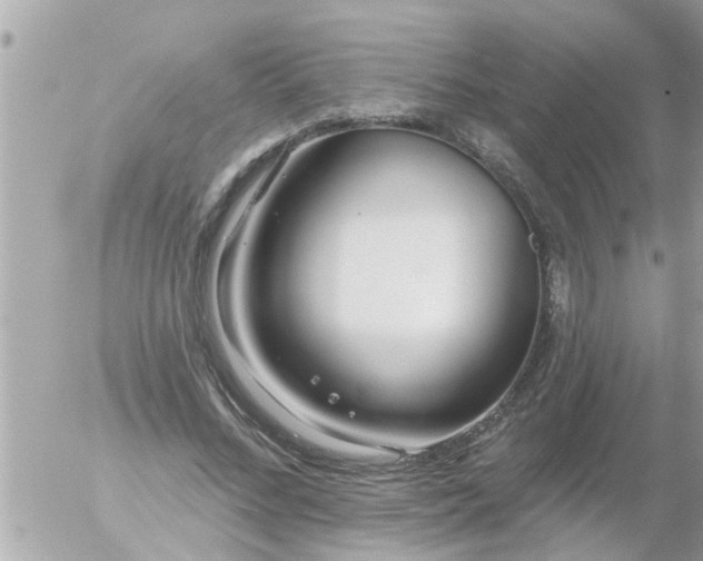 X0000055520684200508262206