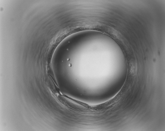 X0000055520685200508262206