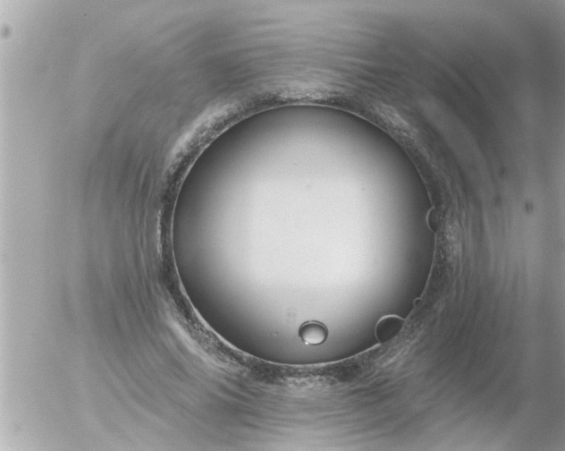 X0000055520686200508262206