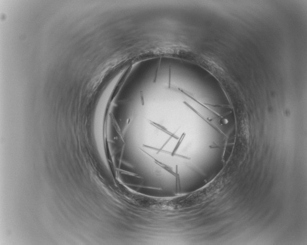 X0000055520687200508262206